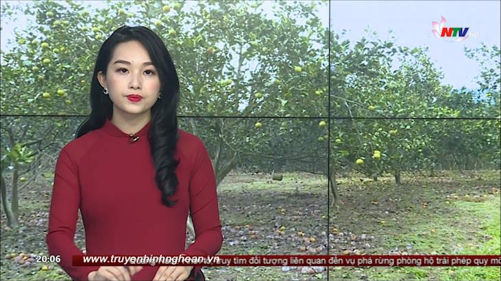 PG 88 Nổ Hũ Truyền hình - 14/11/2020