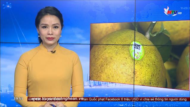 PG 88 Nổ Hũ Truyền hình - 26/11/2020