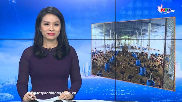 PG 88 Nổ Hũ Truyền hình - 08/12/2020