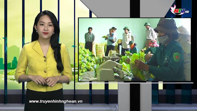 PG88 go Bắn cá ngày mới - 16/12/2020