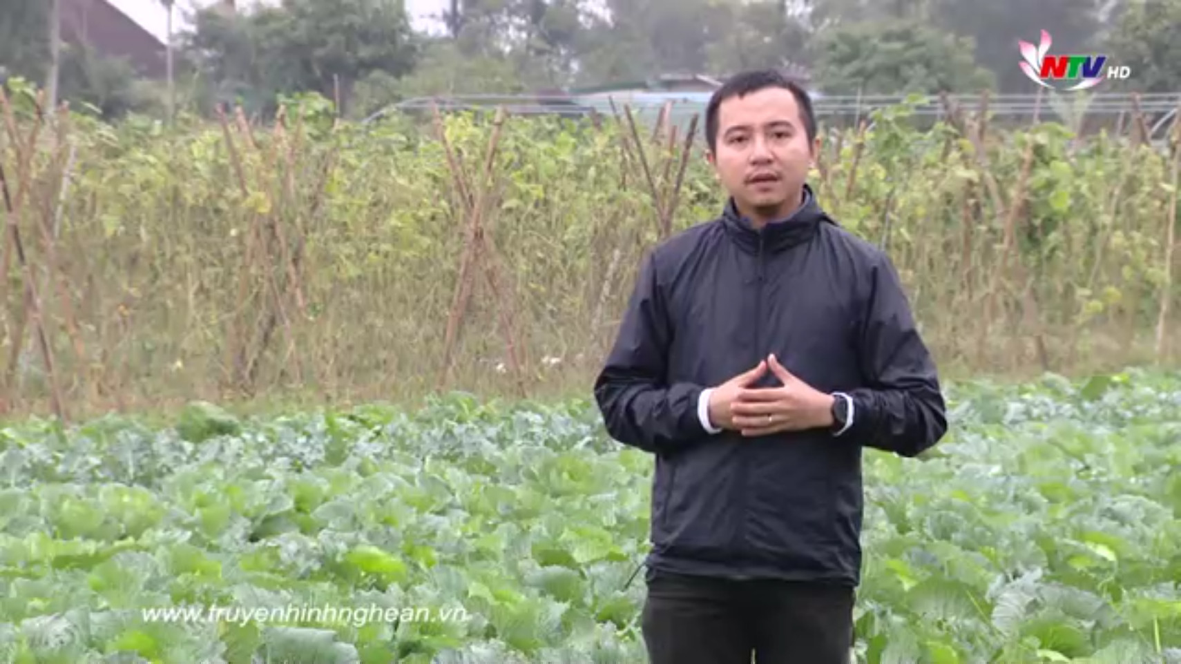 Khởi nghiệp: Trần Văn Phúc và khát vọng về cuộc sống xanh