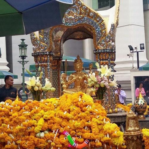 Với khán giả NTV - 16/03/2014