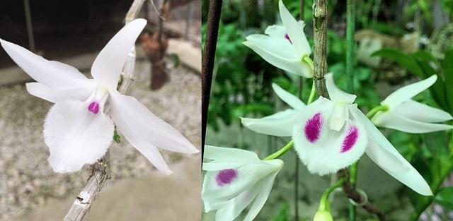Đẹp cùng NTV với Hoàng Oanh