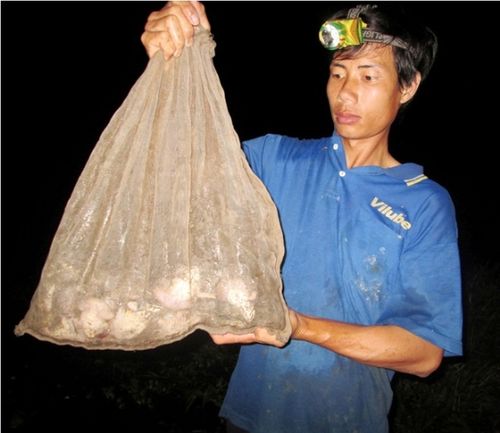 Lãnh đạo huyện, chiến sỹ biên phòng và đông đảo nhân dân trong bản chia sẻ niềm vui năm mới bên bình rượu cần.
