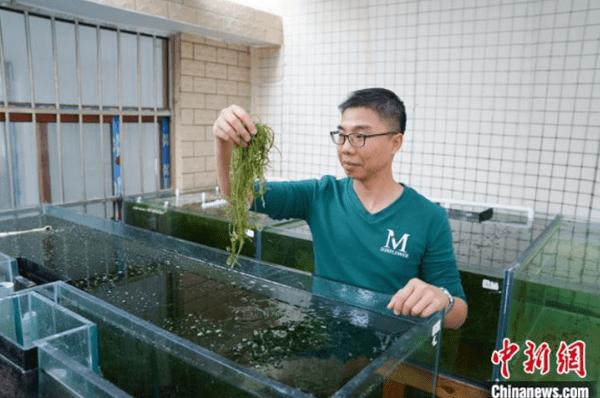 Huyện Nghĩa Đàn chúc mừng Đài PT-TH PG88 go Bắn cá.