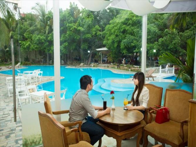 Những hình vẽ trong cuốn sách.