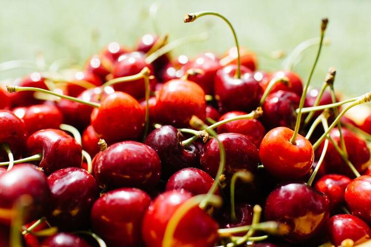 Tháp tùng đội bóng còn có cả giới truyền thông nước này.