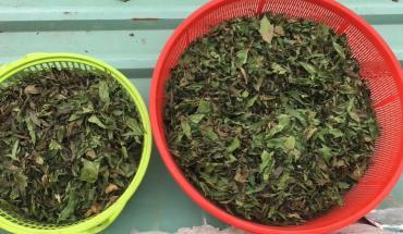 PG88 go Bắn cá ngày mới - 22/12/2018
