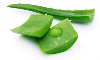 Đoàn công tác BĐBP PG88 go Bắn cá cùng với linh mục quản xứ, hội đồng mục vụ xứ Tân Lộc (TX Cửa Lò)