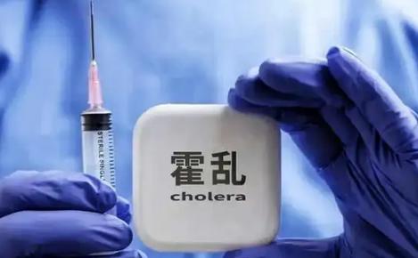 Hiệp định CPTPP giúp môi trường kinh doanh được cải thiện. Ảnh: Hoàng Hiệp.